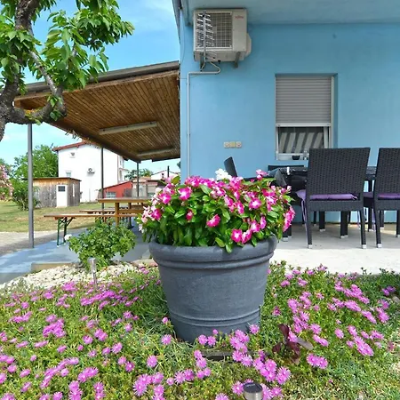 Apartment Fuer 3 Personen Ca 30 Qm In Fazana-surida, Istrien Istrische Riviera *
